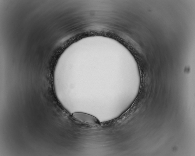 X0000102370822200808291246