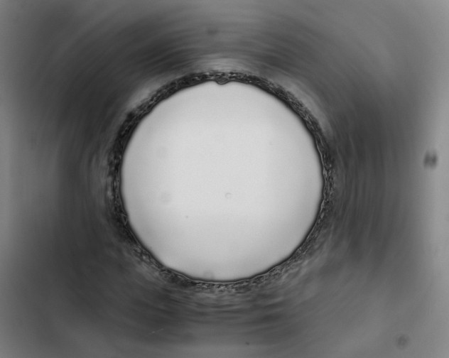 X0000102370823200808291246
