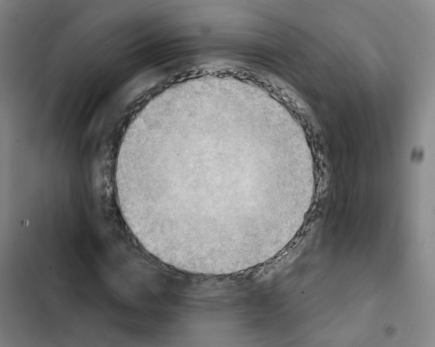 X0000102370824200808291246
