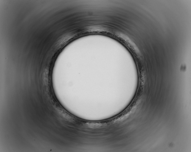 X0000102370825200808291246