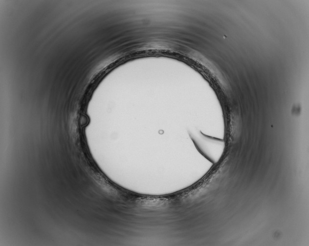X0000102370826200808291246