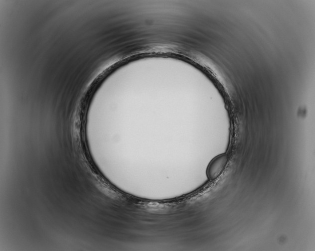 X0000102370827200808291246