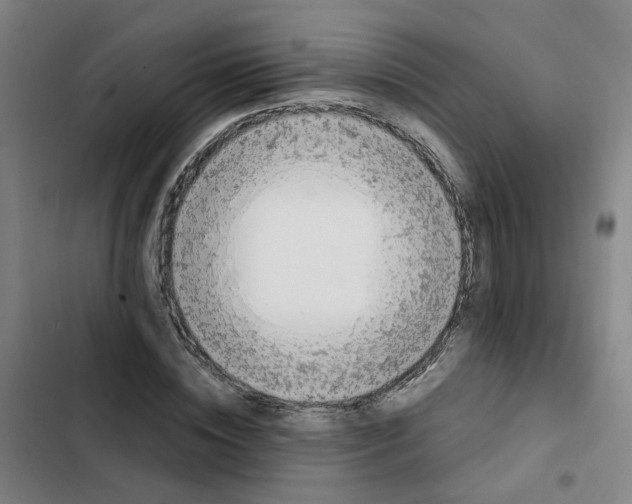 X0000102370828200808291246