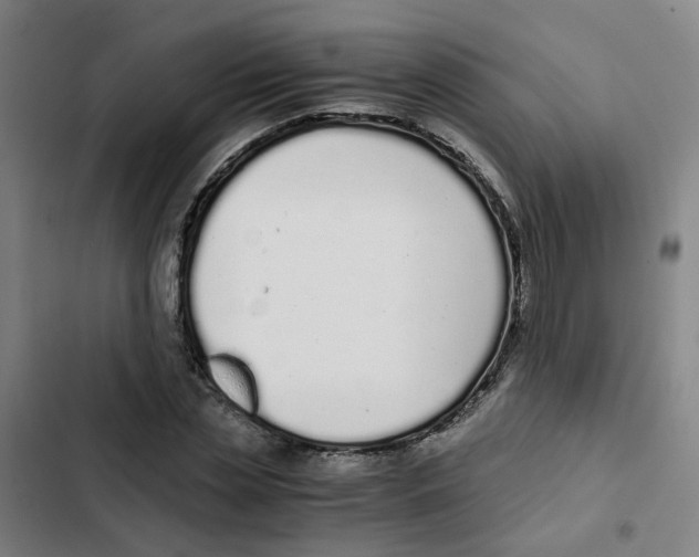 X0000102370829200808291246