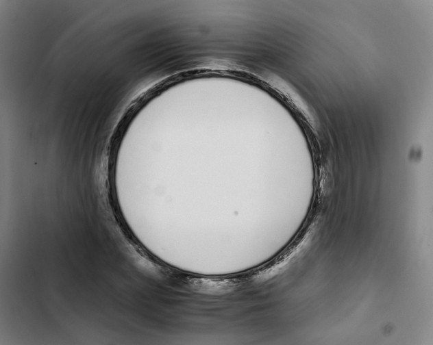 X0000102370831200808291246