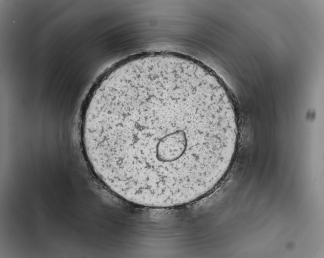 X0000102370832200808291246