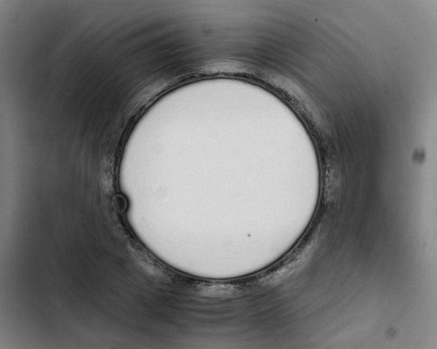 X0000102370833200808291247