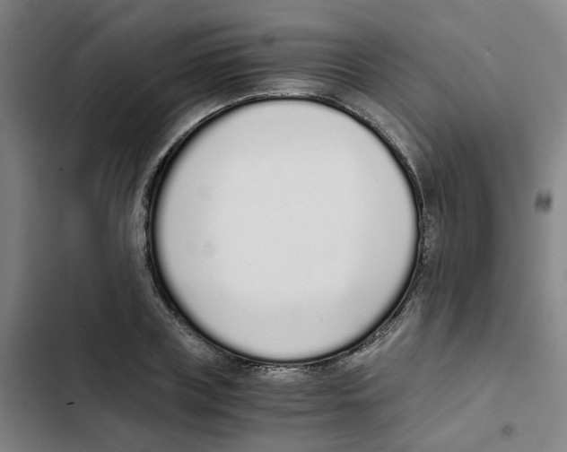 X0000102370835200808291247