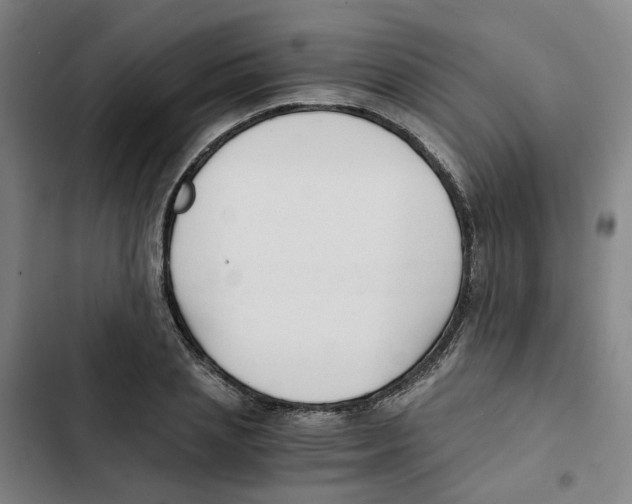 X0000102370837200808291247