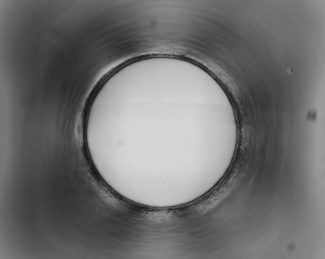 X0000102370838200808291247