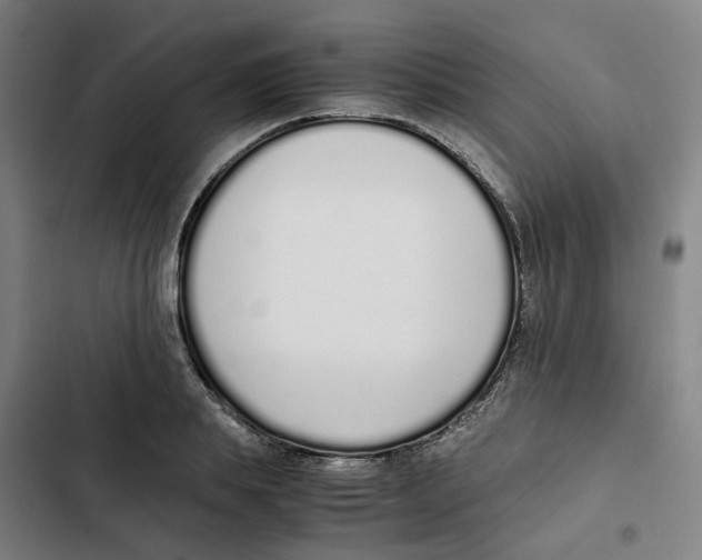 X0000102370839200808291247