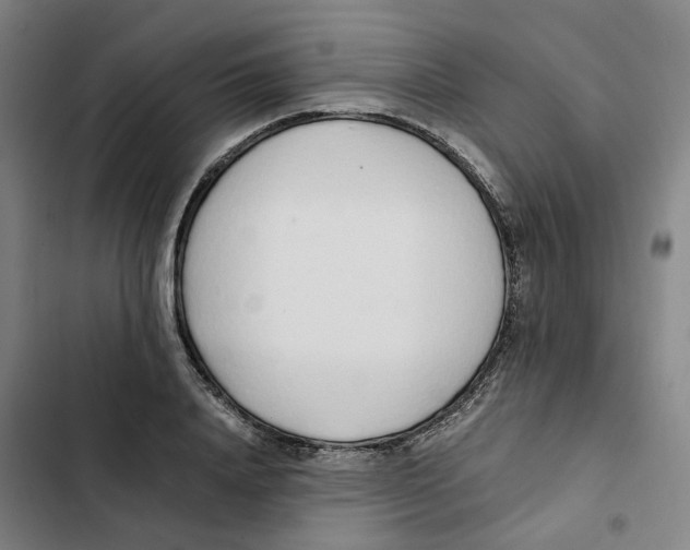 X0000102370840200808291247