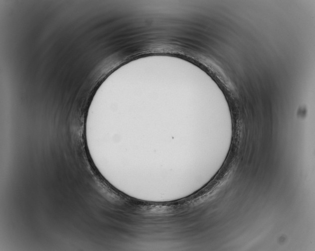 X0000102370841200808291247