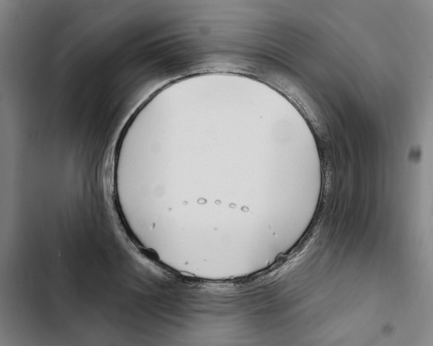 X0000102370844200808291247