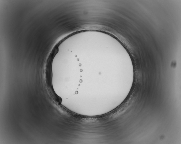 X0000102370846200808291247