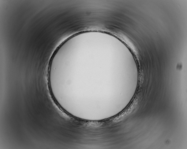 X0000102370847200808291247