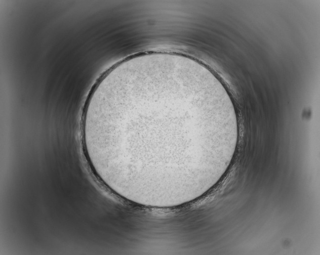 X0000102370848200808291247
