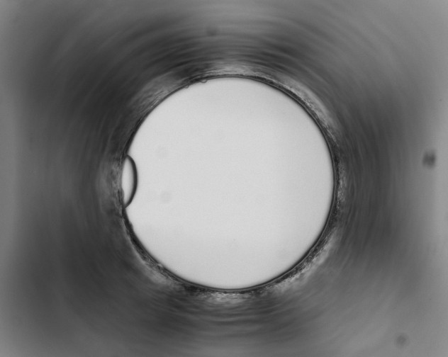 X0000102370849200808291247