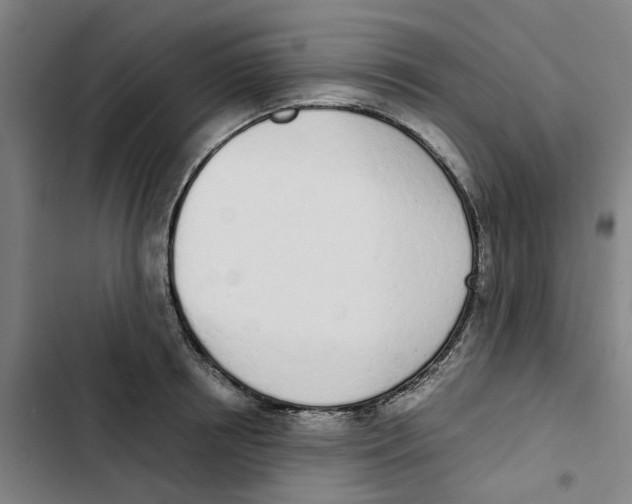 X0000102370850200808291247