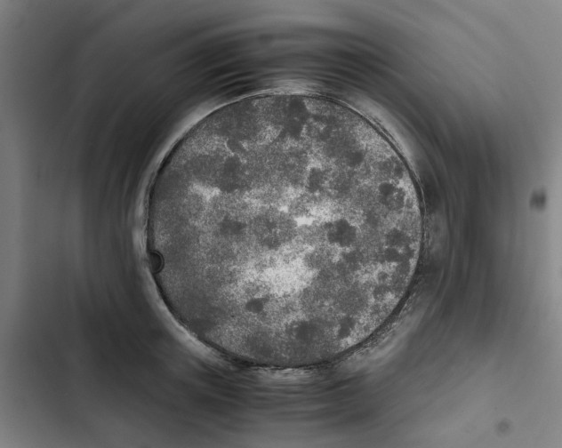 X0000102370851200808291247