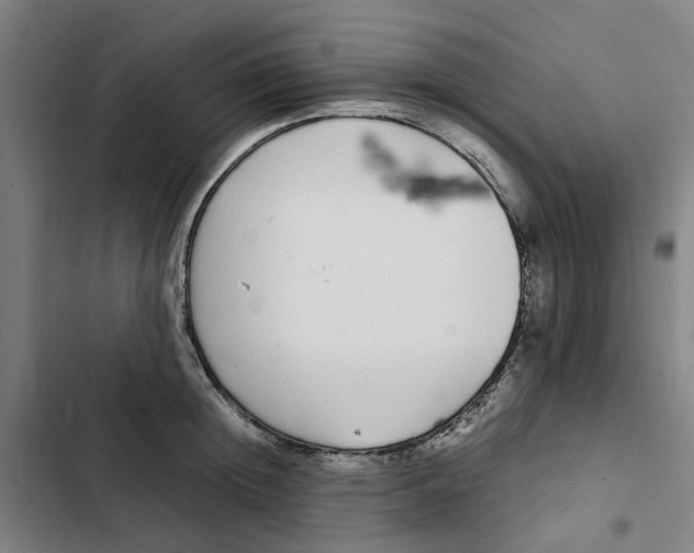 X0000102370852200808291247