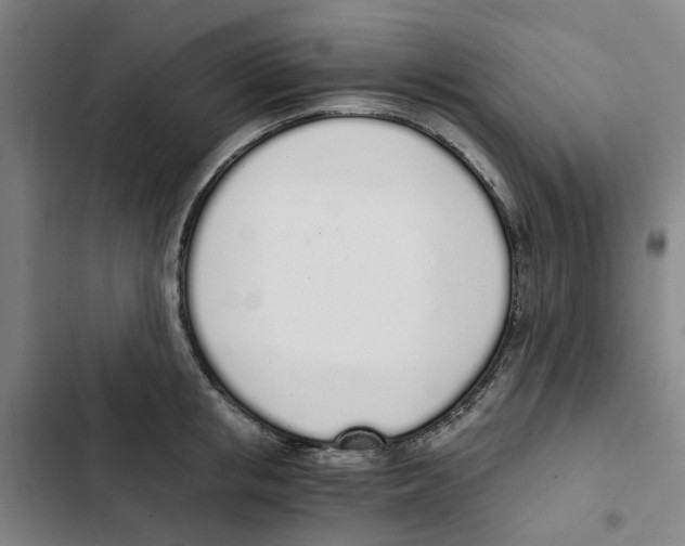 X0000102370853200808291247