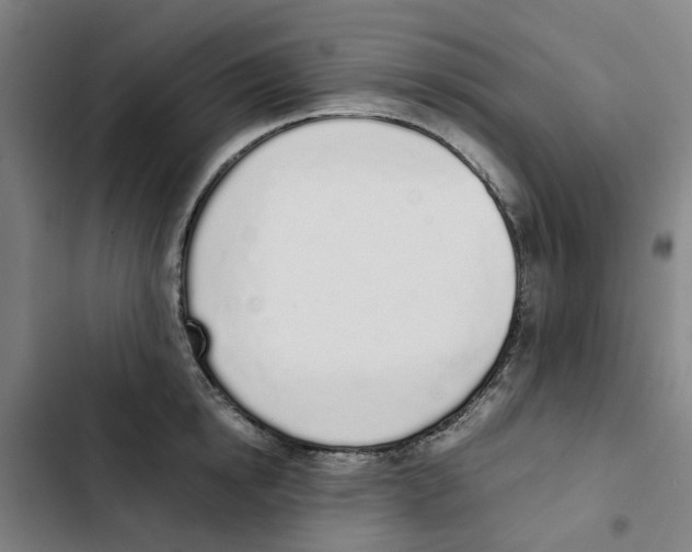 X0000102370854200808291247