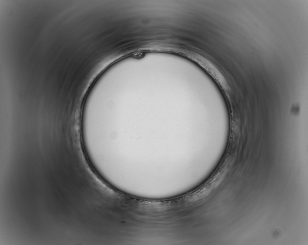 X0000102370855200808291247