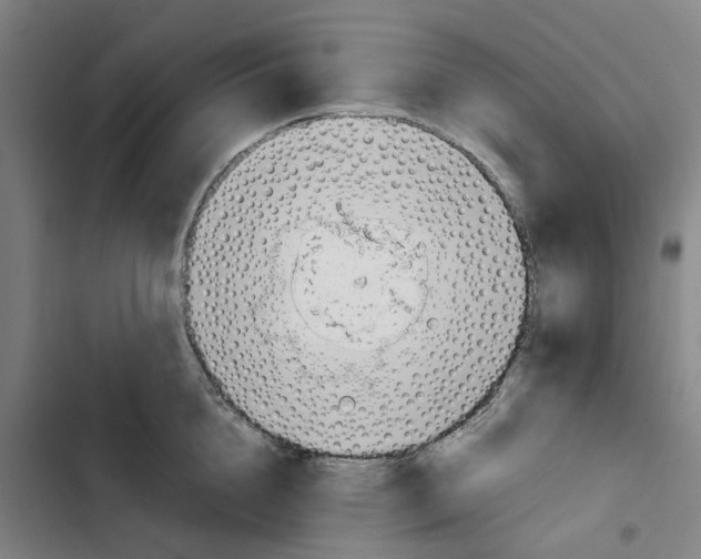 X0000102370856200808291247