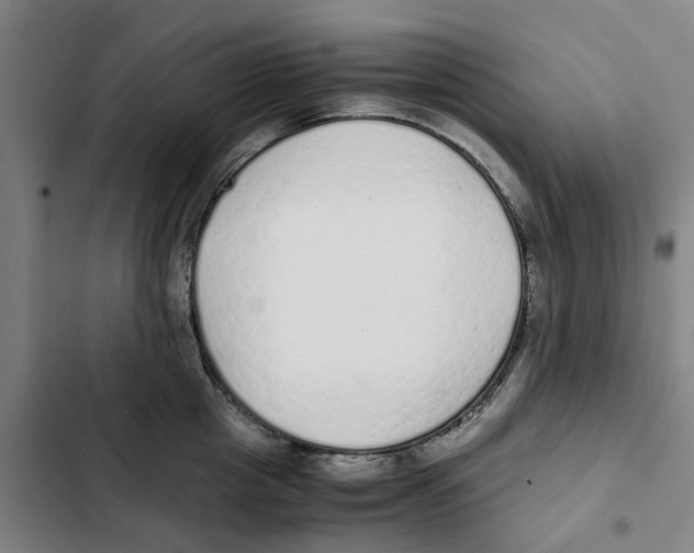 X0000102370857200808291247