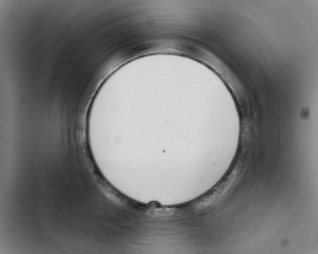 X0000102370858200808291247
