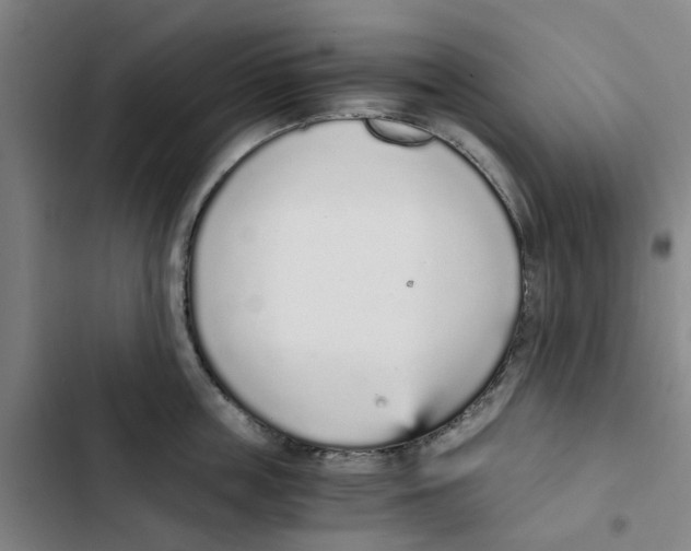 X0000102370859200808291247