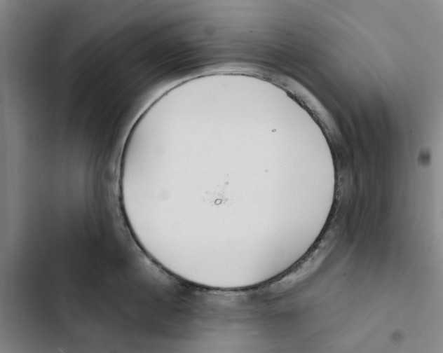 X0000102370860200808291247