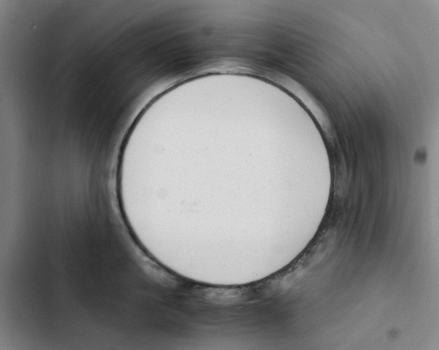 X0000102370861200808291247