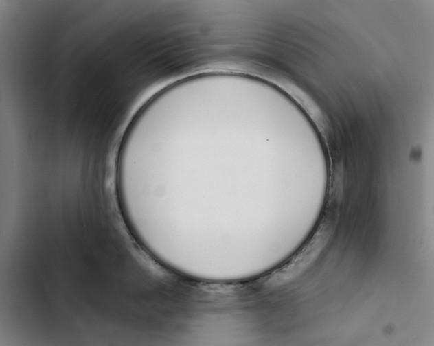 X0000102370862200808291247