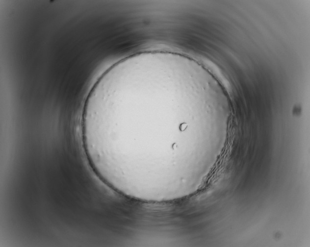 X0000102370863200808291247