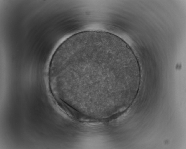 X0000102370864200808291247