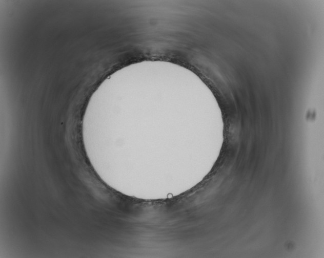 X0000102370865200808291246