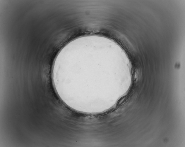 X0000102370867200808291246