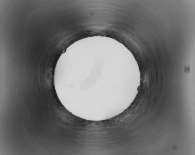 X0000102370868200808291246