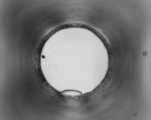 X0000102370871200808291246