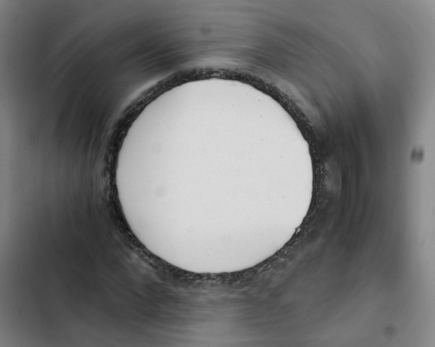 X0000102370872200808291246