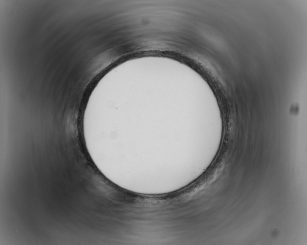 X0000102370873200808291246