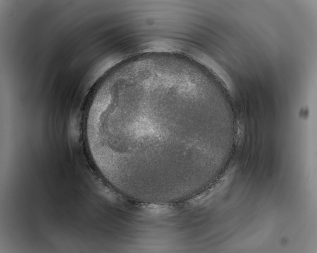 X0000102370874200808291246