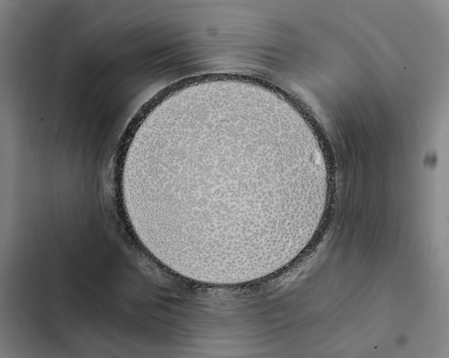 X0000102370875200808291246