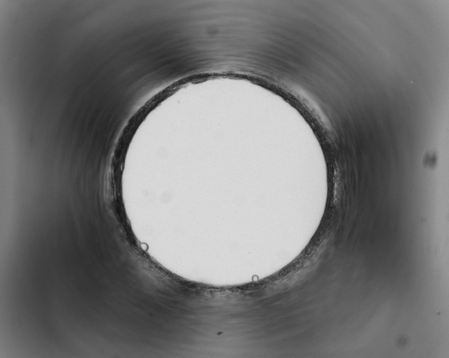 X0000102370876200808291246