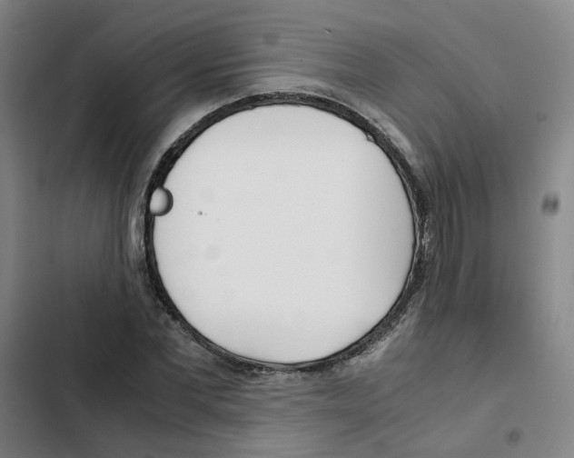 X0000102370877200808291246