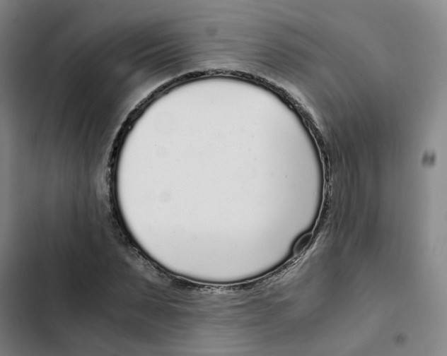 X0000102370879200808291246