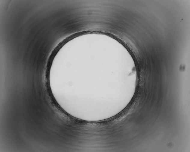 X0000102370880200808291246