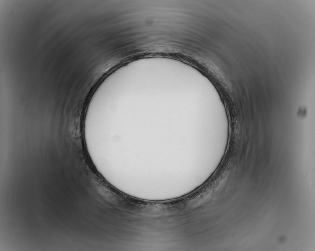 X0000102370881200808291246